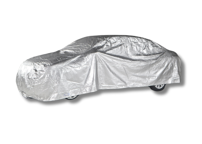 Sedan M