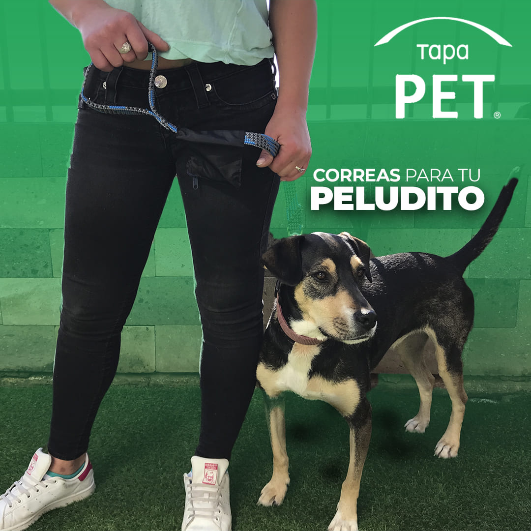Correas con bolsa